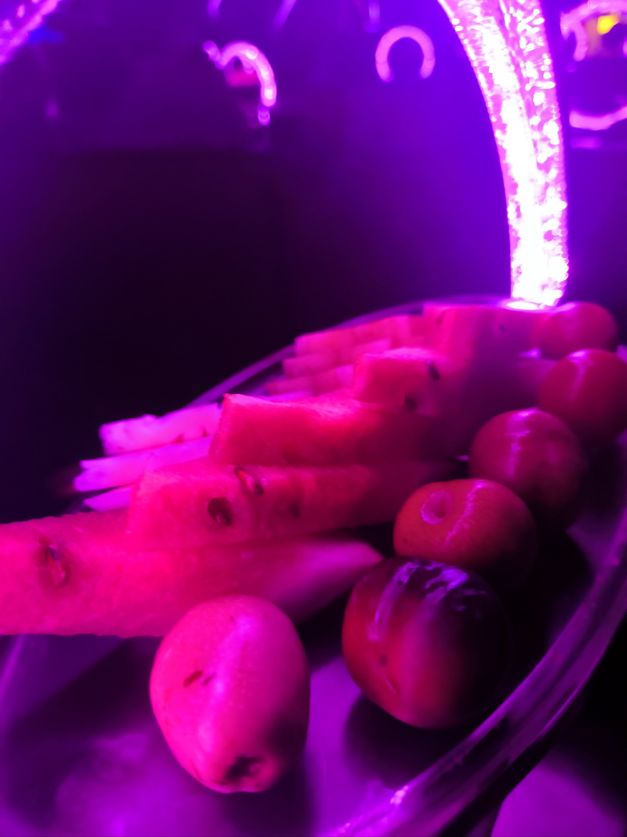 吉安商务ktv夜场商务ktv宣传推荐-井冈山市ktv预定